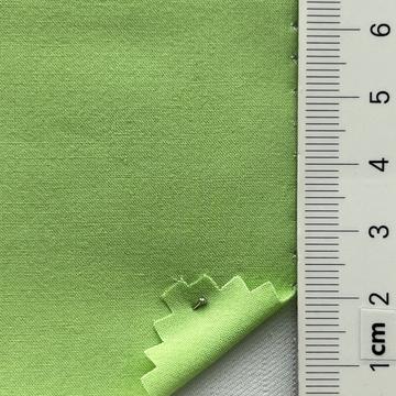 99999 Pale Green