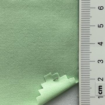 99999 Pale Green