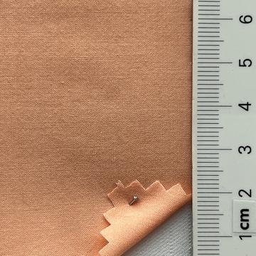 99999 Pale Orange