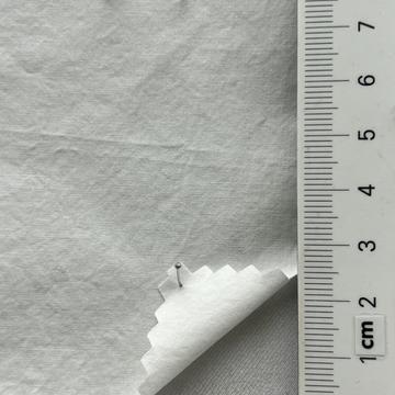 31 White