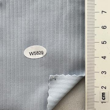 w5829 Pale Blue