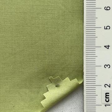 20 Pale Green