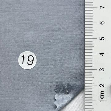 19 Pale Blue