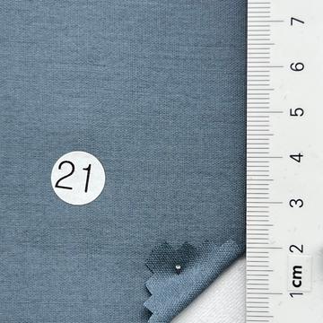 21 Pale Blue