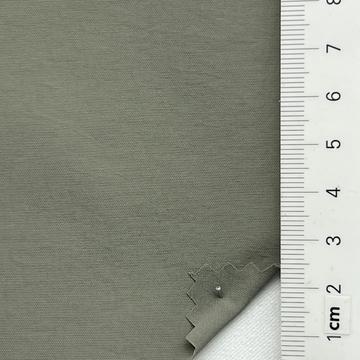 41 Pale Green