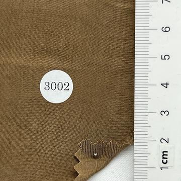 3002 Camel
