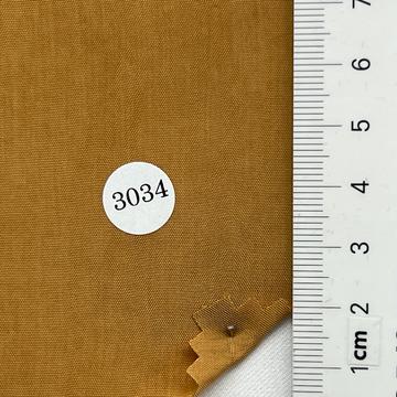 3034 Camel