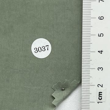 3037 Pale Green
