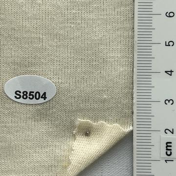 8504 Ivory