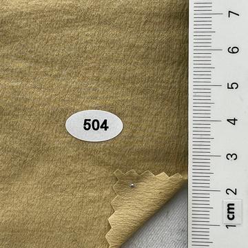 504 Beige