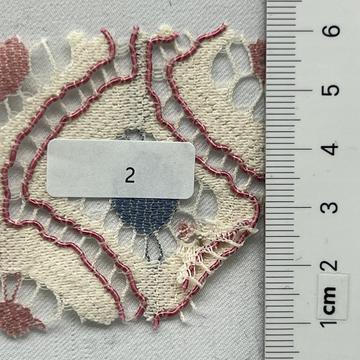 2 Ivory