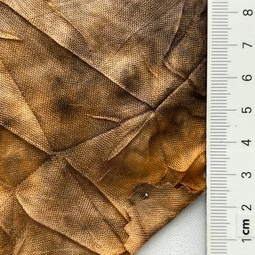2 Brown