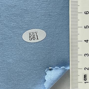 561 Pale Blue