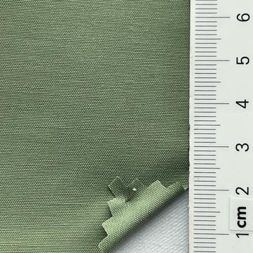19 Pale Green