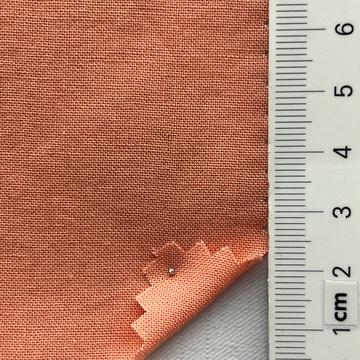 99999 Pale Orange