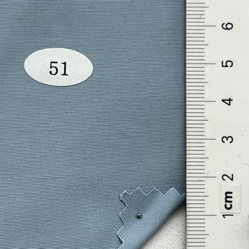 51 Pale Blue