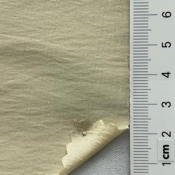 64 Ivory