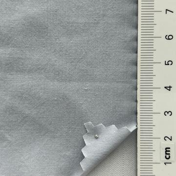 10 Gray