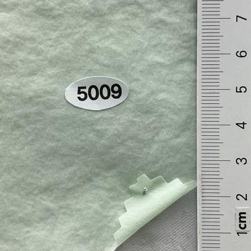 5009 Pale Green
