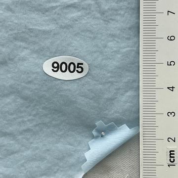 9005 Pale Blue