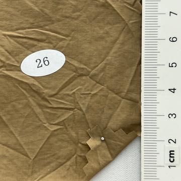 26 Camel