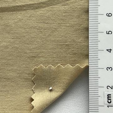 10 Camel