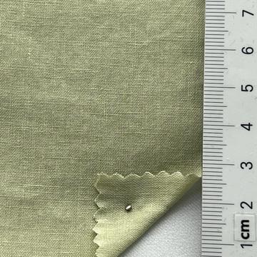 10 Pale Green