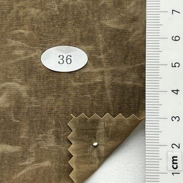 36 Camel