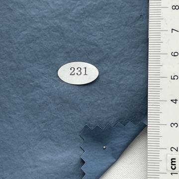 231 Blue