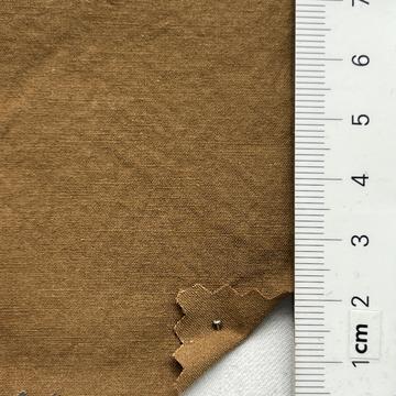 22 Camel