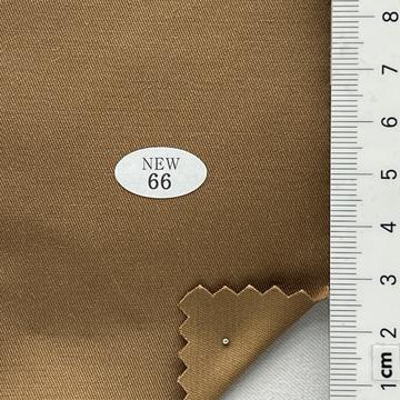 66 Camel