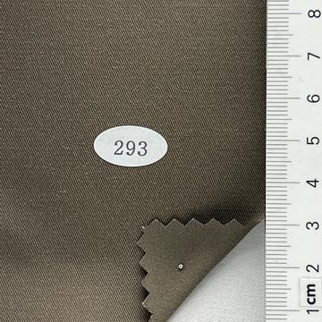 293 Brown