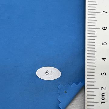 61 Pale Blue