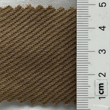 29 Camel