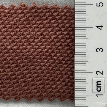 31 Camel