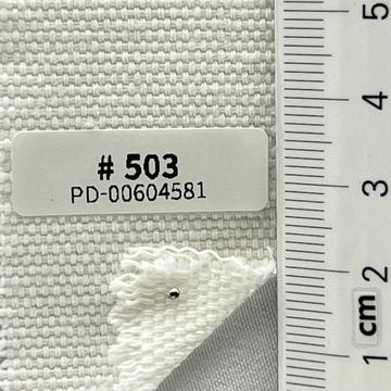 503 Ivory