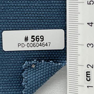 569 Blue