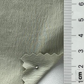 6 Pale Green