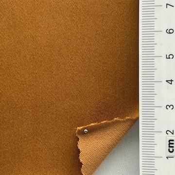 19 Camel