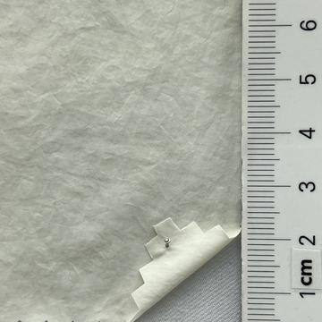 11 Ivory