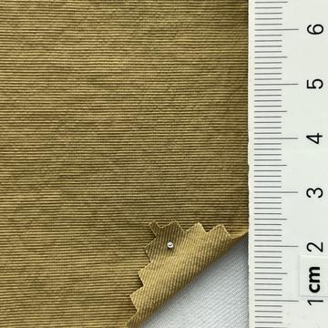26 Camel