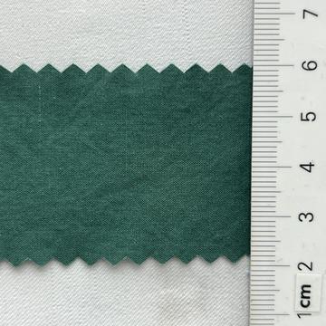 구24 Green