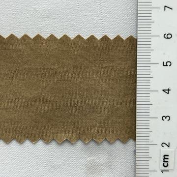 구35 Camel