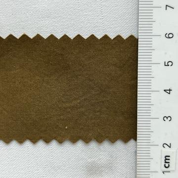 구39 Brown