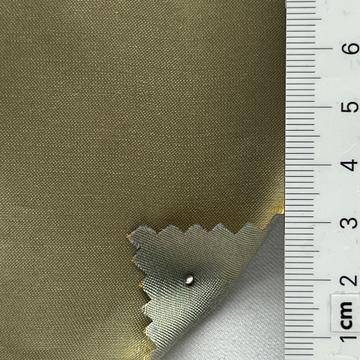 19 Camel