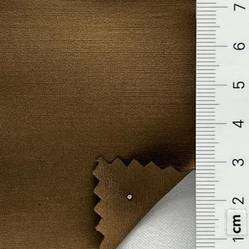 19 Camel