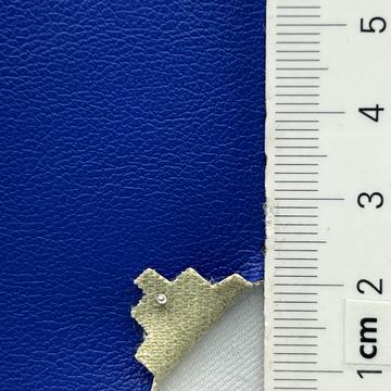 23 Blue