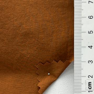 23 Camel