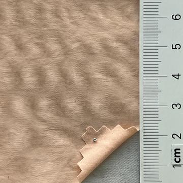 2 Pale Orange