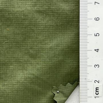 21 Green